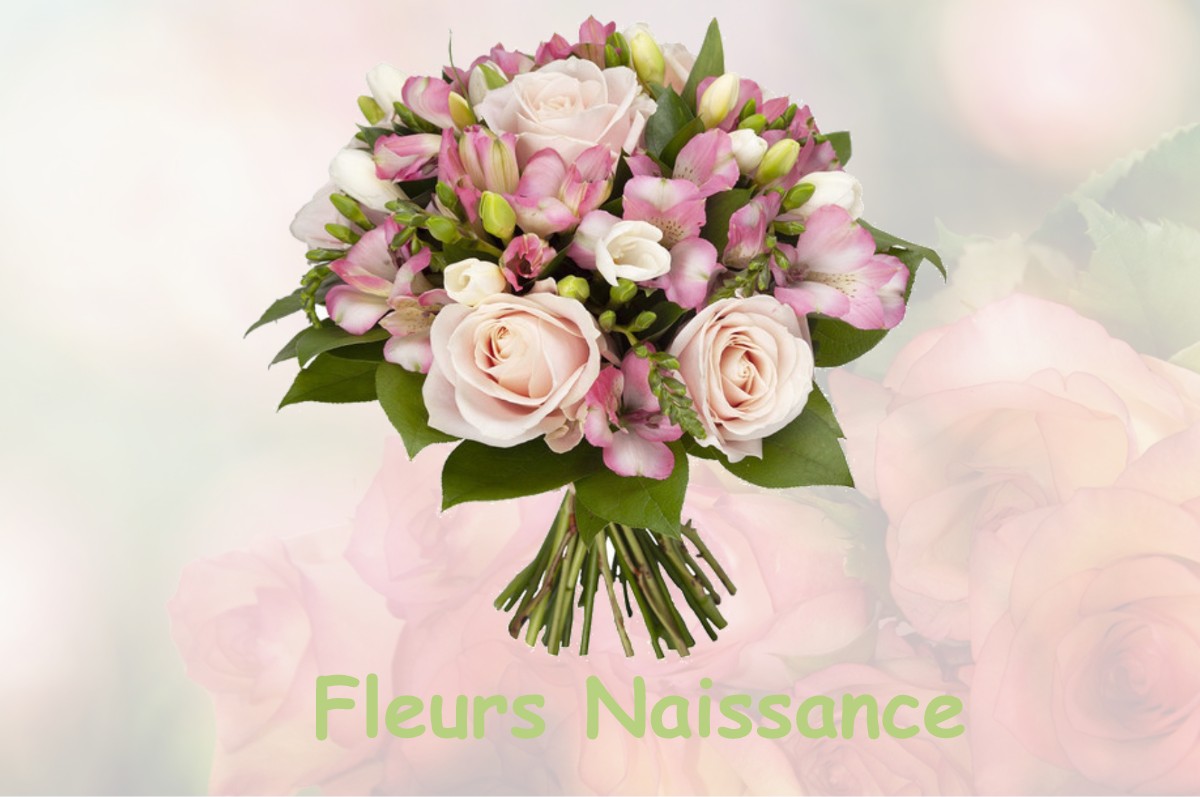 fleurs naissance LABARTHE-RIVIERE