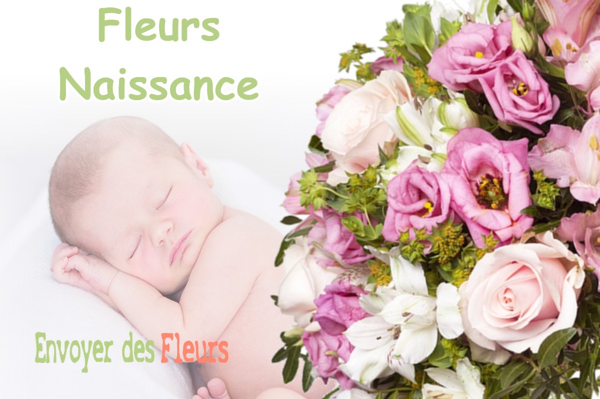 lIVRAISON FLEURS NAISSANCE à LABARTHE-RIVIERE